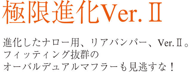 10年の集大成、進化したリアバンパー、VerⅡ。フィッティング抜群のオーバルデュアルマフラーも見逃すな！